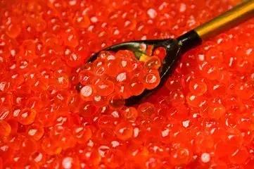 世界顶级鱼子酱多少钱一克,顶级鱼子酱一盎司多少钱