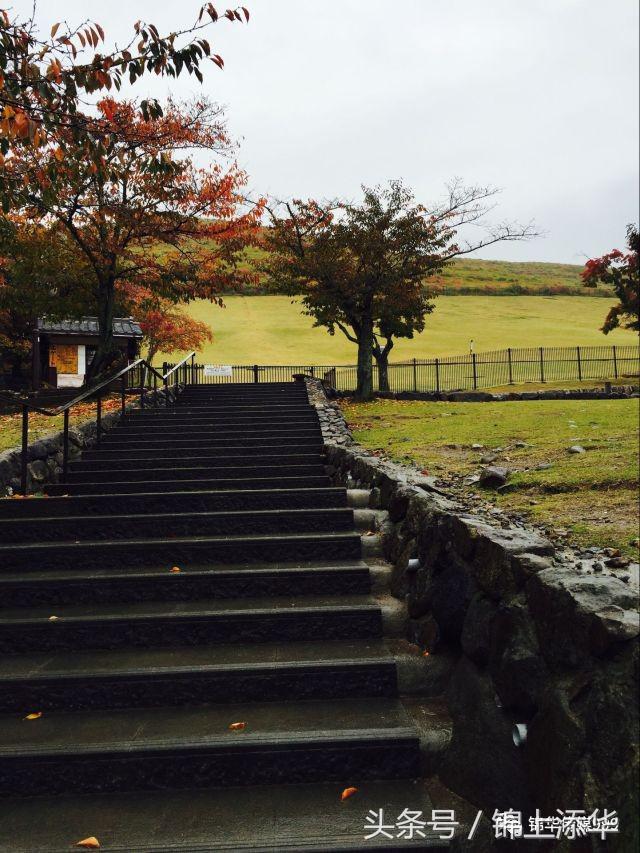 去日本必读的100个旅游小贴士,去日本值得收藏的东西