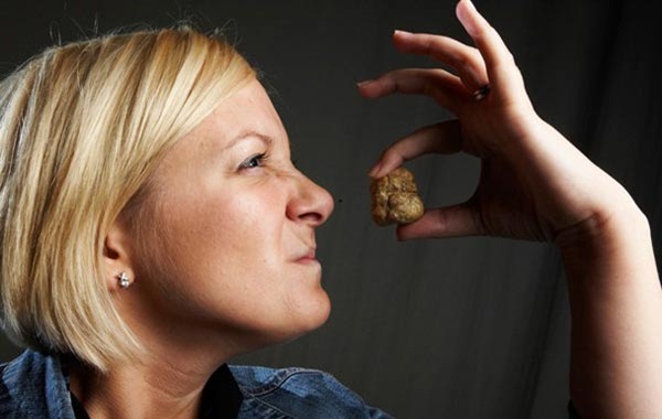 世界上最贵的食物上亿,世界最贵食物视频