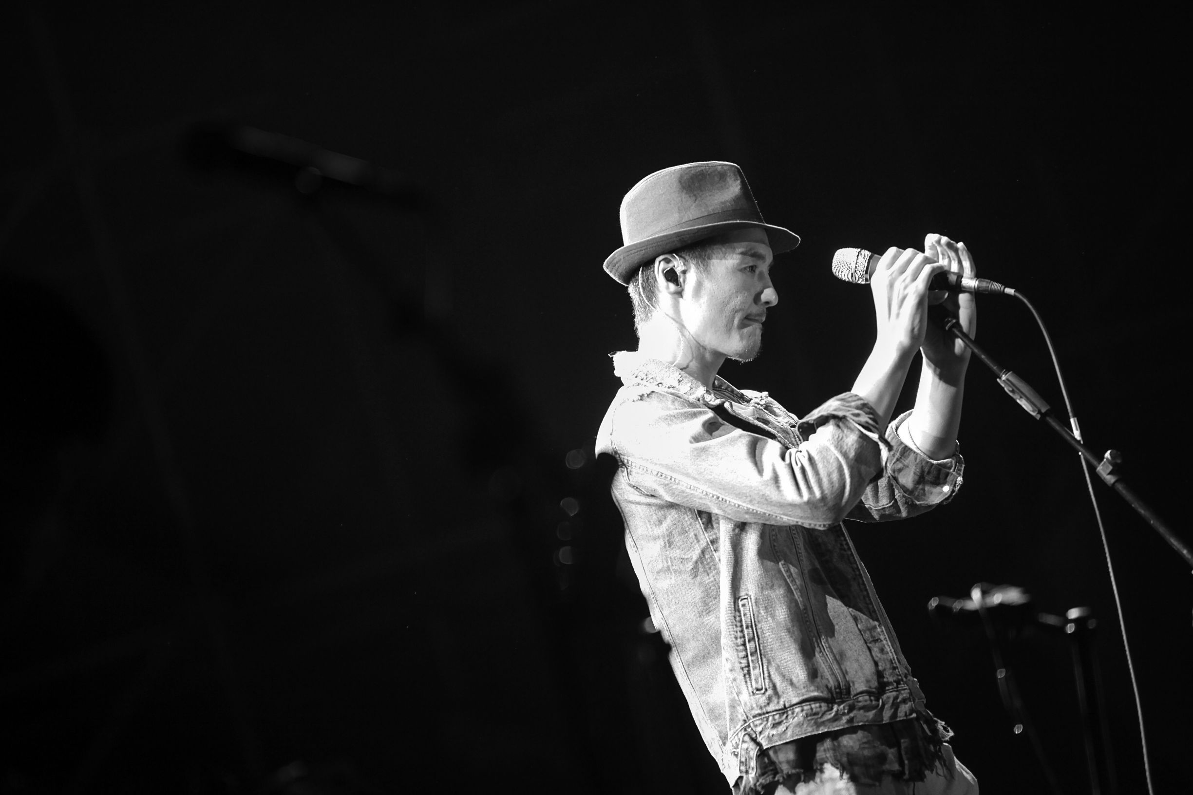 朴树出道二十年仅四张专辑,他用蜗牛的速度做最牛的事