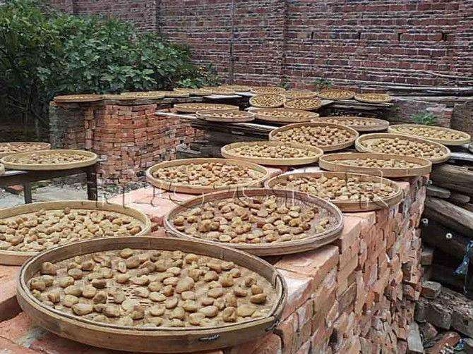 无花果的正确打包方法和储存方法,无花果储存和销路