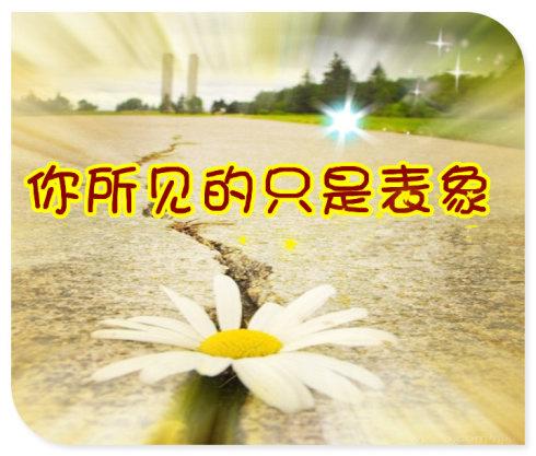 为什么怀孕了检查出来这么多问题,为啥怀孕了还要看指标