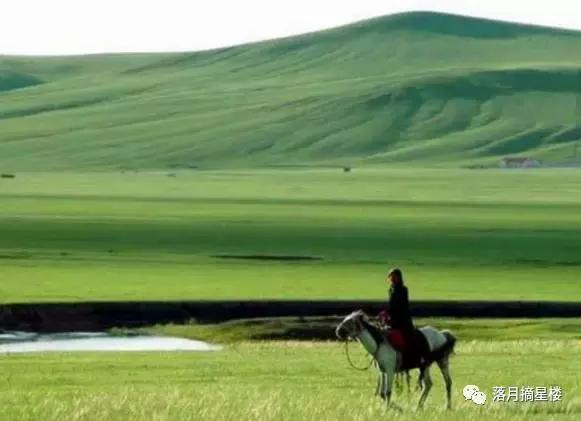 行走在呼伦贝尔大草原视频 (行走在呼伦贝尔纪录片)