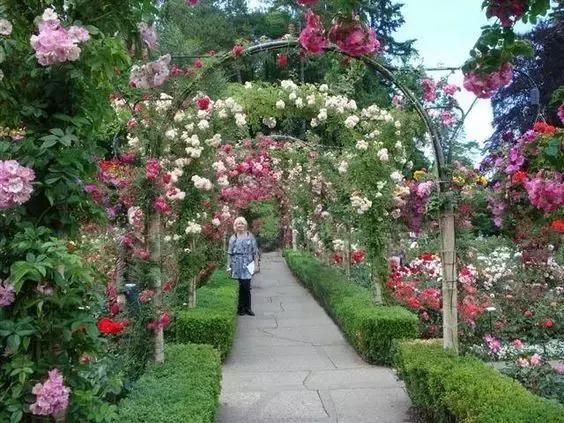 我的相册视频,十寸相册