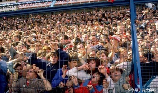 英国球迷为什么阻止修建新球场,英国球迷惹事