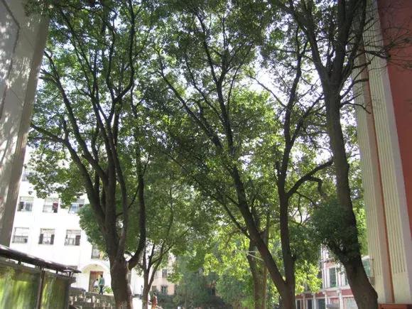 再见了二年级,新建二中报道