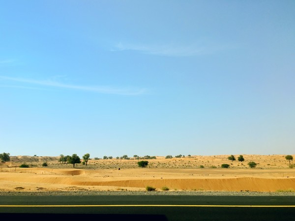 迪拜之旅最新视频,迪拜之旅完整版