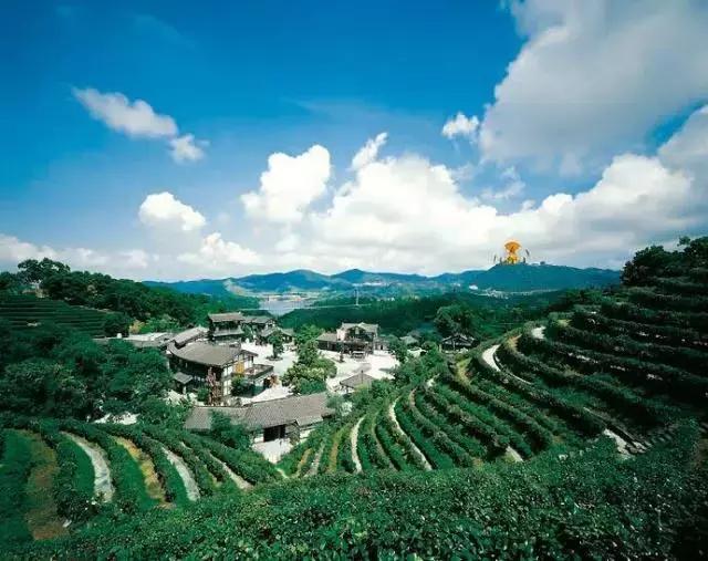 深圳5号线景点打卡地有哪些,来深圳必看的十大网红景点