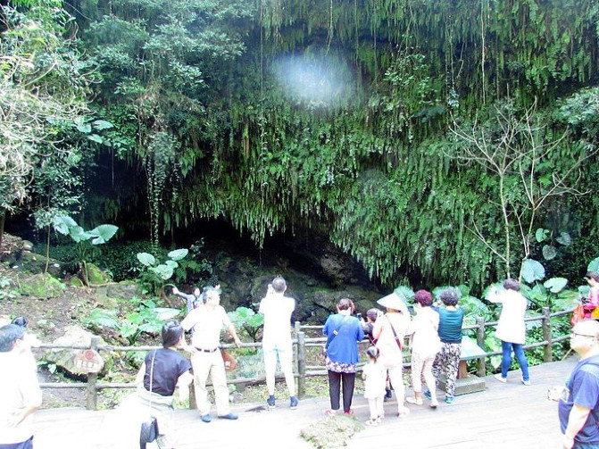 邂逅美丽椰城海口自由行攻略,海南岛自驾游摘椰子