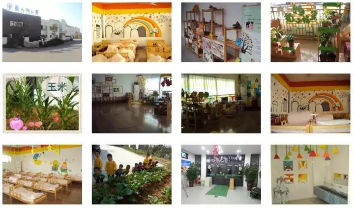 连云港高端幼儿园,连云港幼儿园哪里好