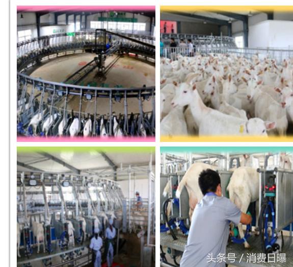 拿到9个配方注册，和氏、美力源、关山都有1款100%纯羊配方奶粉