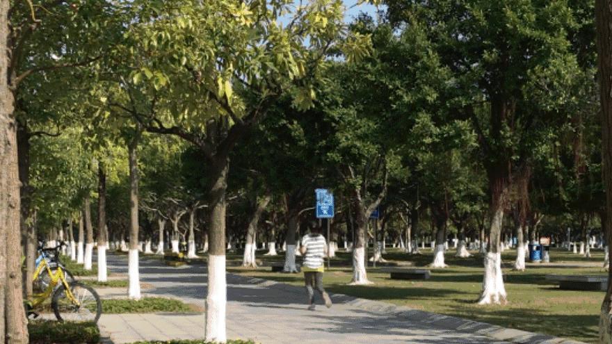 宝安跑步最佳地点,深圳宝安区跑步最佳地点