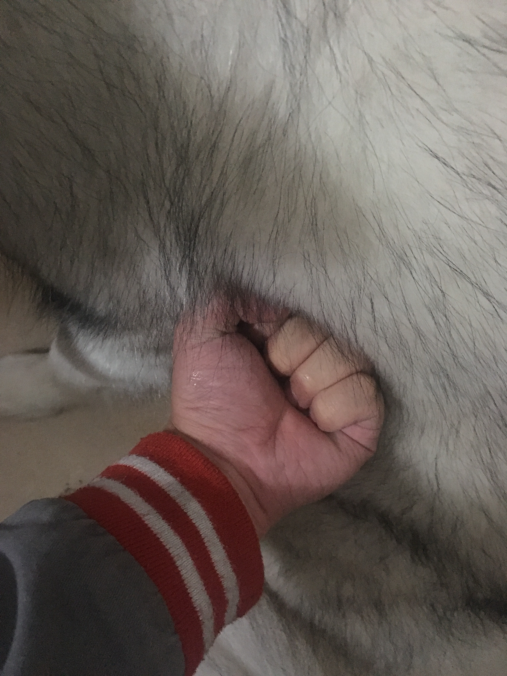 全都太有才了！NGA论坛水友集体COSPLAY魔兽世界技能图标