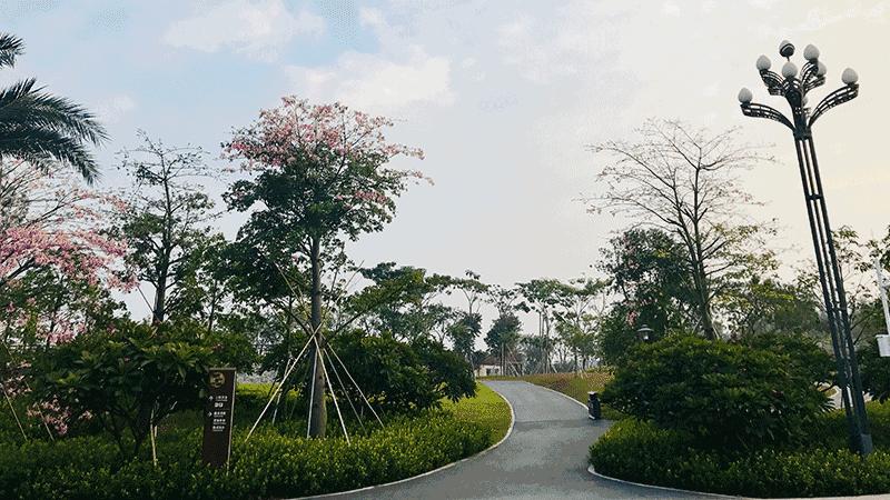 宝安跑步最佳地点,深圳宝安区跑步最佳地点