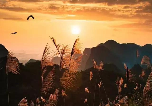 浙江省有多少人资产破百亿,浙江尖子生