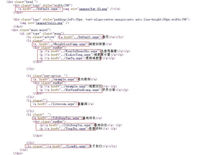 掌握seo技巧打开优化思路,热门seo关键词优化私域流量