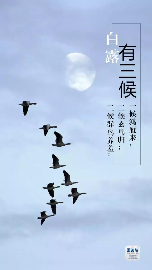 一张图上包含二十四节气壁纸,高清中国插画二十四节气壁纸