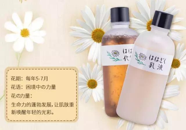 适合干皮的冬季水乳推荐,油皮敏感肌毛孔大适合用什么水乳