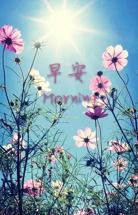 早上好祝福问候语大全简短一点,早上好问候语早安祝福