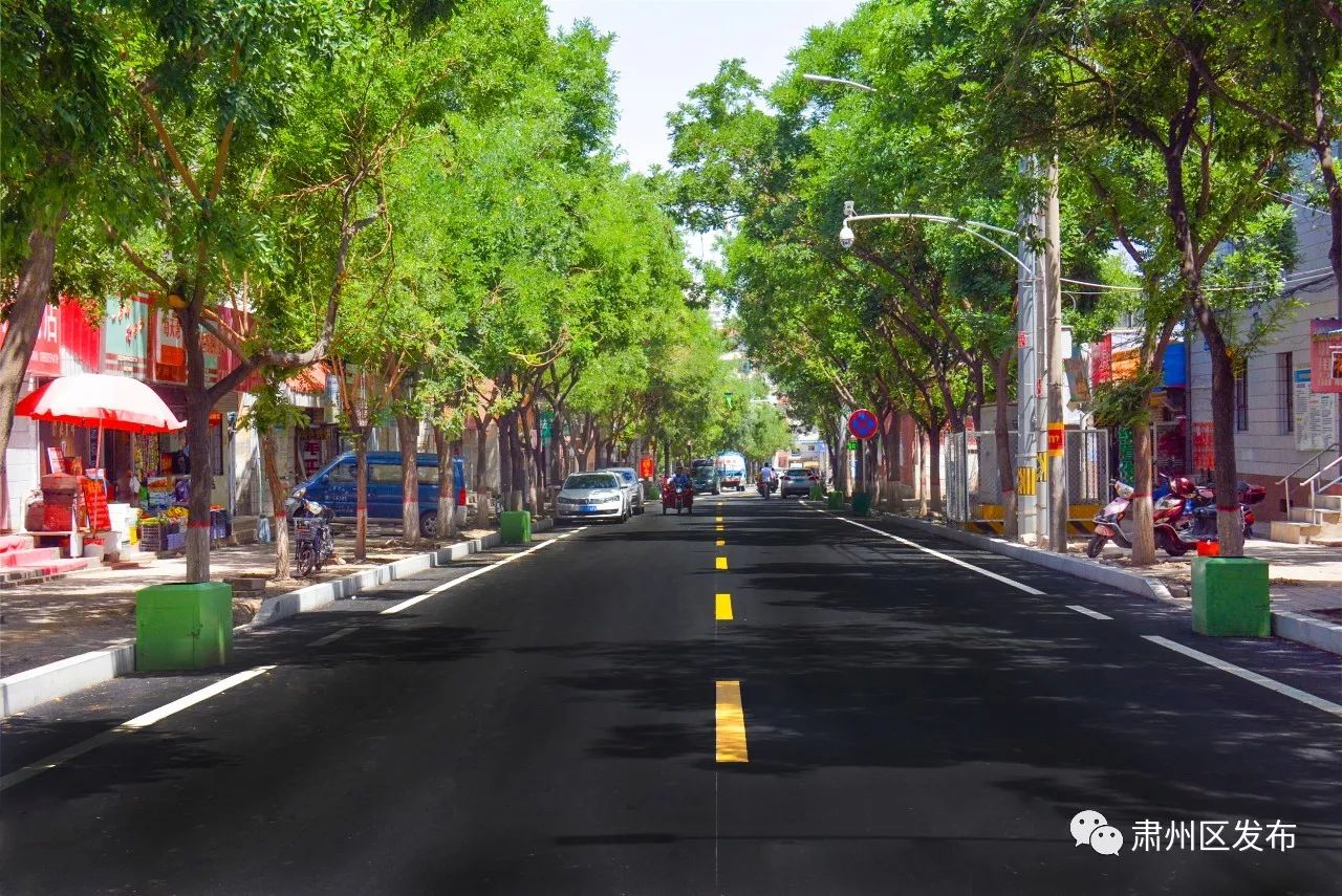 美呆了！肃州区惊现高大上的“彩色大道”，宝宝们快来围观！~