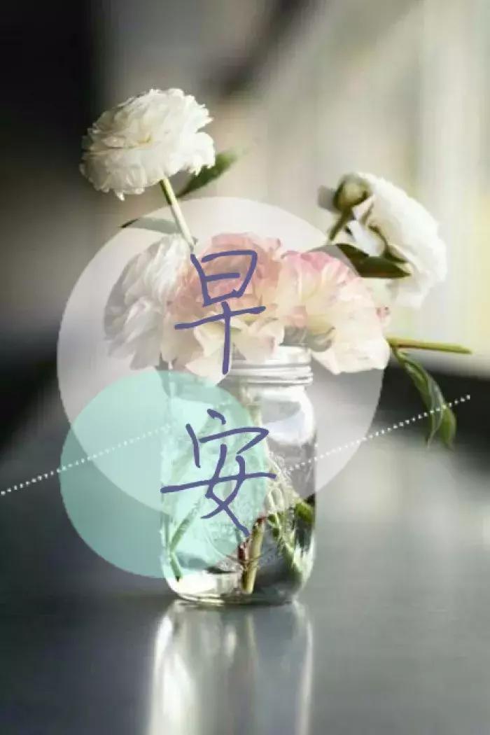 早上好祝福问候语大全简短一点,早上好问候语早安祝福
