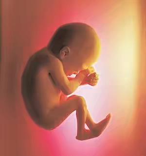 生宝宝时才知道怀孕了,生过二胎的宝妈怀男孩女孩一样吗