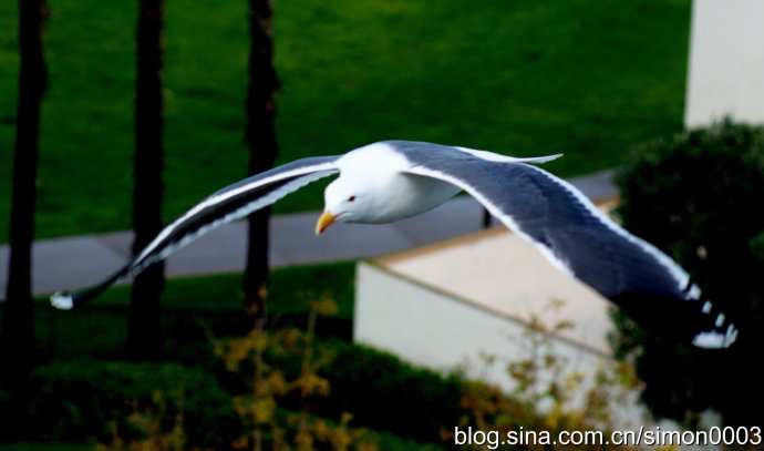 圣地亚哥下雨游玩好吗,圣地亚哥在下雨高清