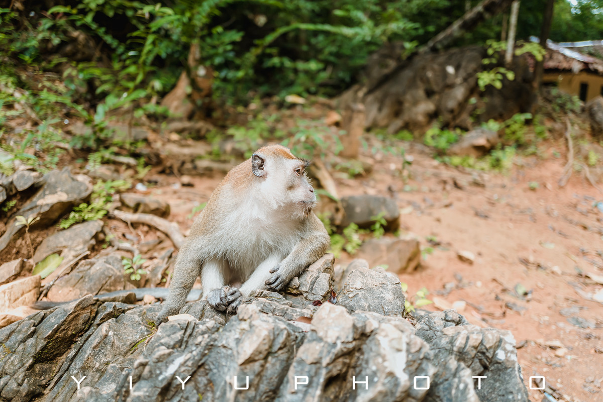 悠游一夏,马来西亚——六日自由行攻略