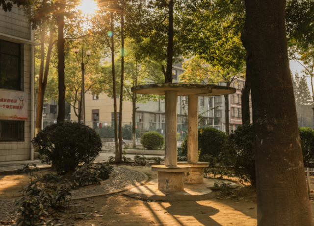 藏在油榨湾的老一中，你不该忘记它！