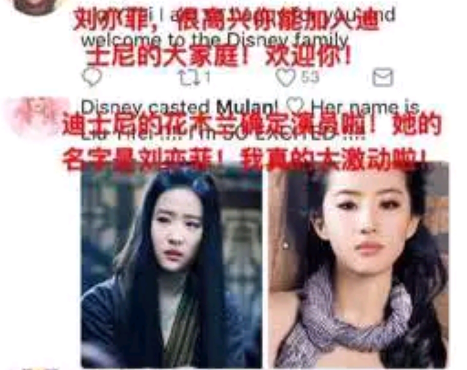 刘亦菲被选花木兰的原因,刘亦菲花木兰投票视频