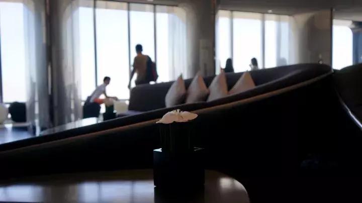 刺激害怕的游乐项目,必去的主题乐园