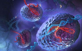 艾滋病并非不治之症？“洗精术”到底是什么