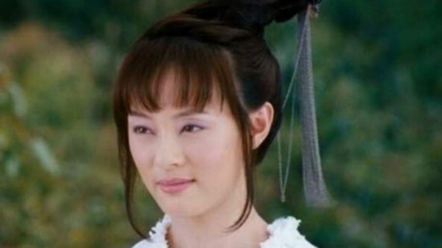 刘亦菲被选花木兰的原因,刘亦菲花木兰投票视频