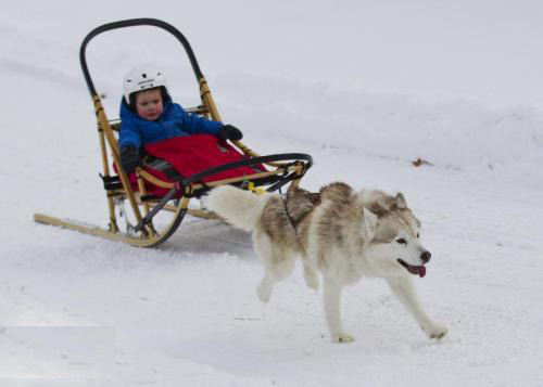 坐公交时下雨怎么办呢,在公交车上喝水想打喷嚏