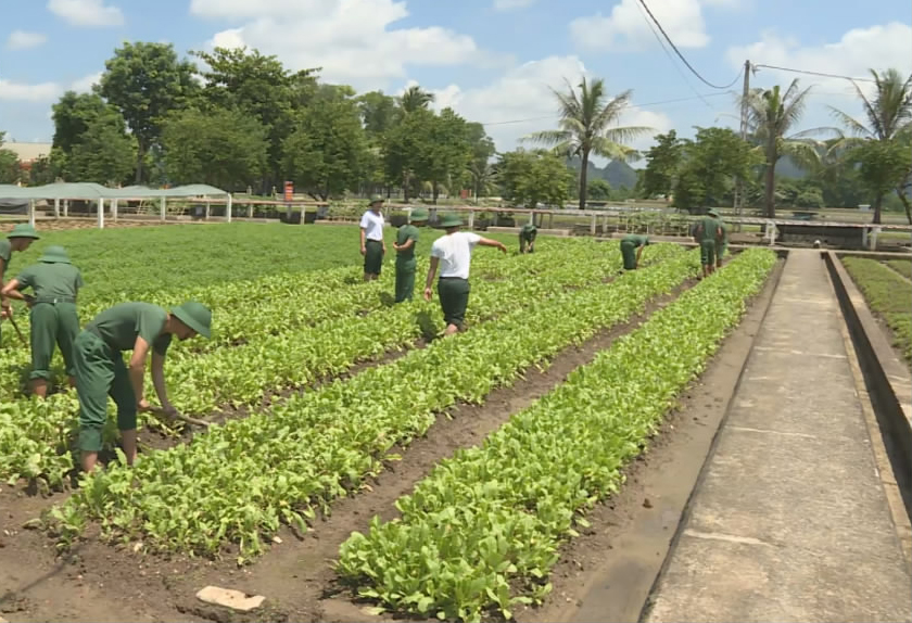 吃咋样？丰盛，健康，营养。舌尖上的保障，越南*队军**做得到，为啥