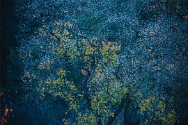 广播文章精选唯美,广播稿精选100字