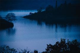 广播文章精选唯美,广播稿精选100字