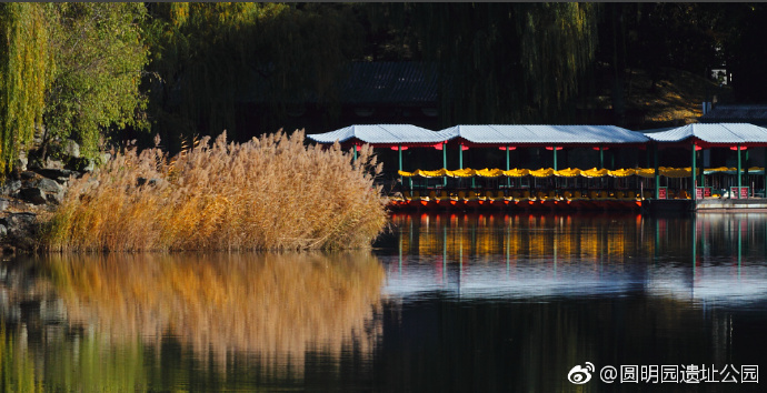 【图赏】圆明风光：光影斑驳重焕光彩