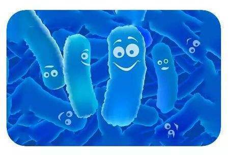 小小推荐益生菌,小小益生菌抗病毒