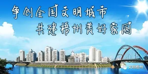 2023年中国足协颁奖,中国足协青少年足球锦标赛冠军