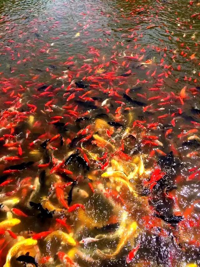 东北自由行旅游攻略7天鲅鱼圈,春节鲅鱼圈自驾一日游攻略