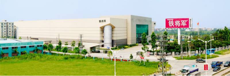 对话｜中山“北大门”东凤镇将要迎来新一轮的大升级！听杨安队说了什么？