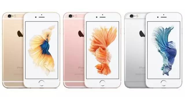 苹果7全新颜值担当，国粹金鱼替代泰国斗鱼?