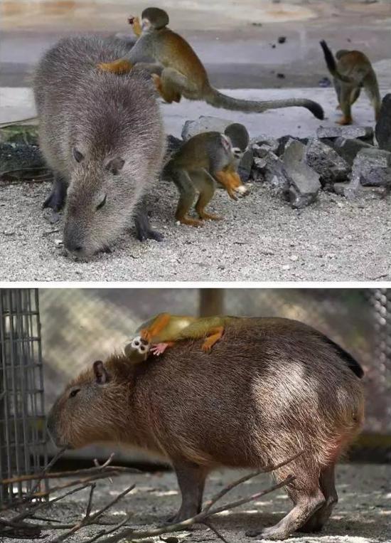 人见人爱车见车载花见花开,人见人爱花见花开车见车英文