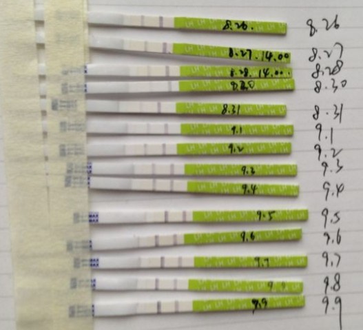 备孕六个月就成功了,备孕五个月成功好孕