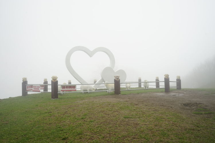 台湾游记自由行,台湾环岛旅行记