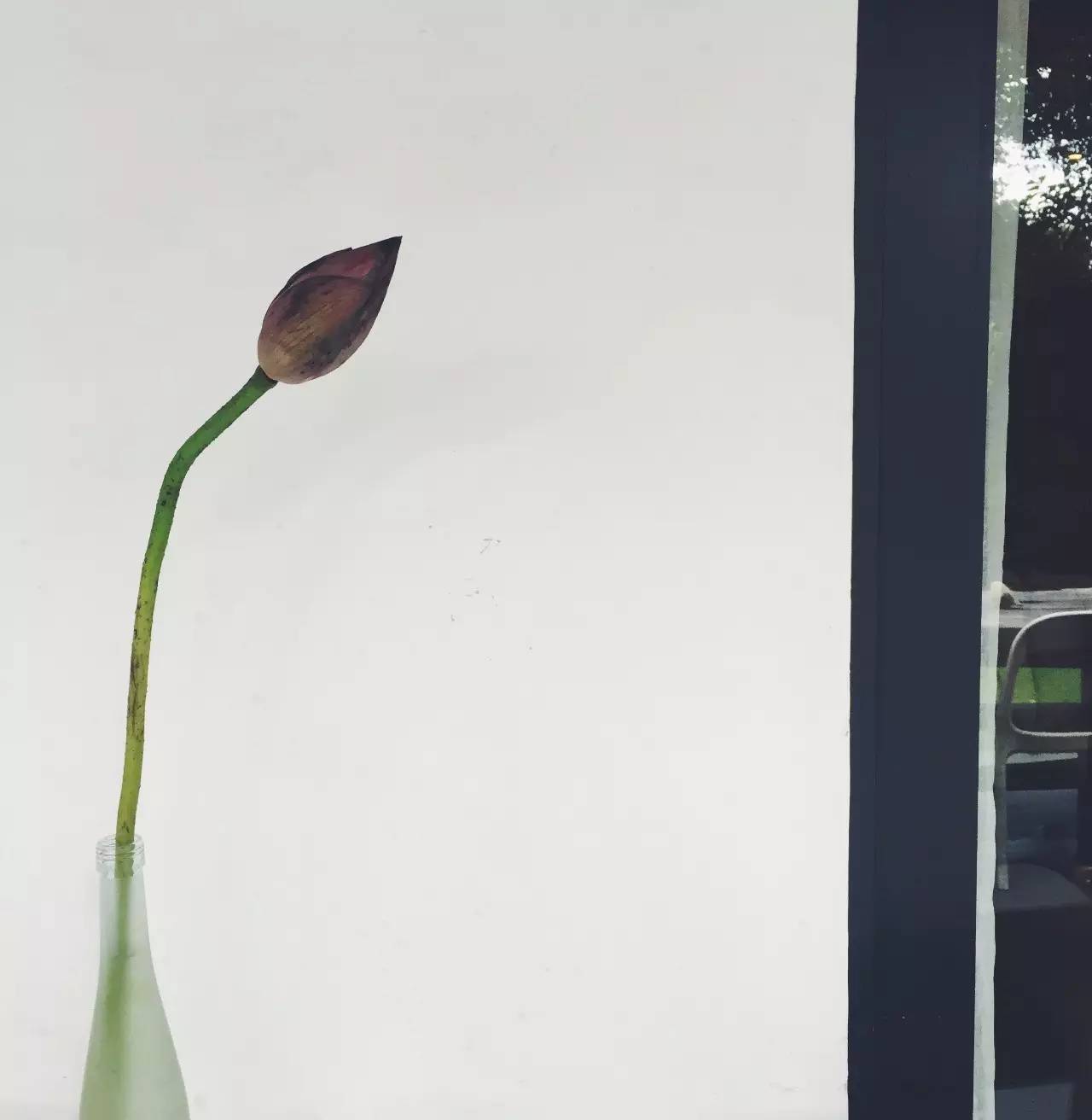 又到了动物们交配的季节，请站在宇宙中心用力呼唤爱！