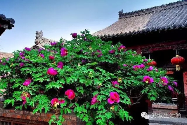 南舍明清古村,南舍明清古建筑