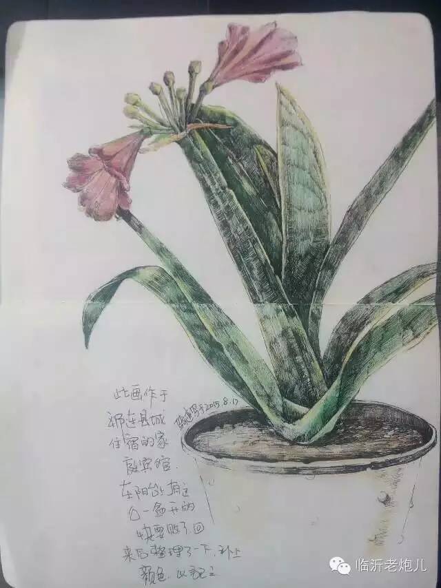 带上手鼓去旅行,带着旅行箱去旅行绘画