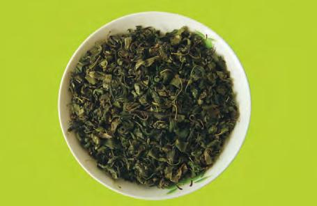 银翘解毒片和连翘败毒片一样吗,银翘解毒片和双黄连口服液